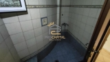 slide1 thumbnail